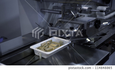 Plastic wrapping machine on production line. Media. Packing waffles at factory. 114848865