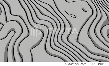 Abstract monochrome curves background. Design. Flowing and transforming shapes. 114849056