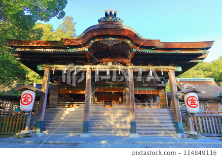 [香川縣]早春陽光普照的琴比羅宮金比羅山（禮拜堂和正殿） 114849116