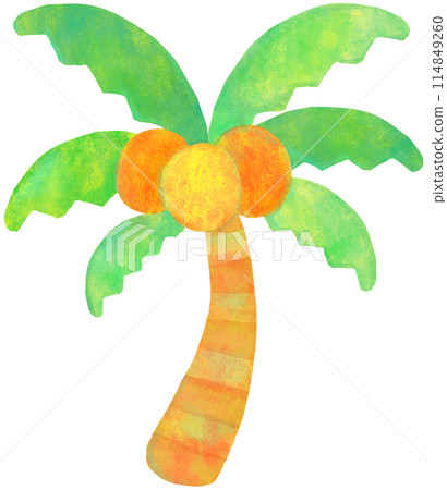 simple palm tree illustration simple palm tree illustration 114849260