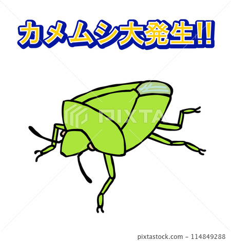 帶有綠色字母的臭蟲 114849288