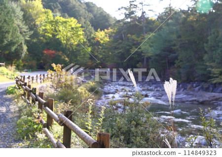 Akazawa Forest Railway 114849323