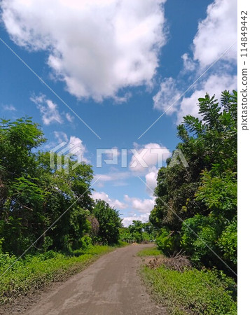 Central American country road on a sunny day Central American country road on a sunny day 114849442