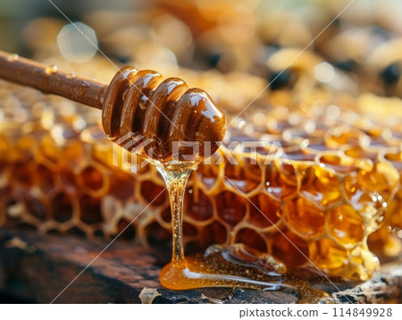 Honey is Delicious and Sustainable Environmentally-friendly-food-production Honey is Delicious and Sustainable Environmentally-friendly-food-production 114849928