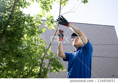 一名工人用剪刀剪掉一棵正在生長的花園樹 一名工人用剪刀剪掉一棵正在生長的花園樹 114850031