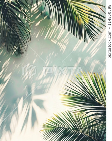 green palm leaf branches on white background. flat lay, top view green palm leaf branches on white background. flat lay, top view 114850398