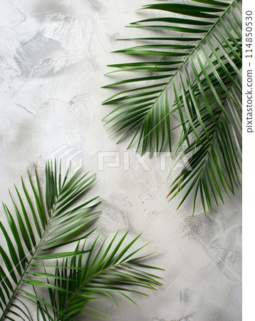 green palm leaf branches on white background. flat lay, top view green palm leaf branches on white background. flat lay, top view 114850530
