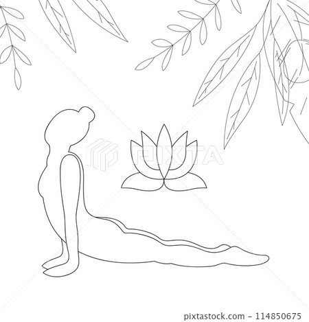 Yoga. Silhouette of a girl in dog pose, looking up. Outline black and white illustration. 114850675