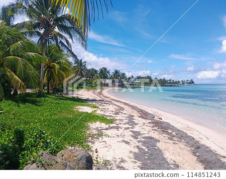 Palm trees and beach Palm trees and beach 114851243