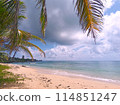Palm leaves and beach 114851247