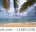 Corn Island beach seen through palm fronds 114851248