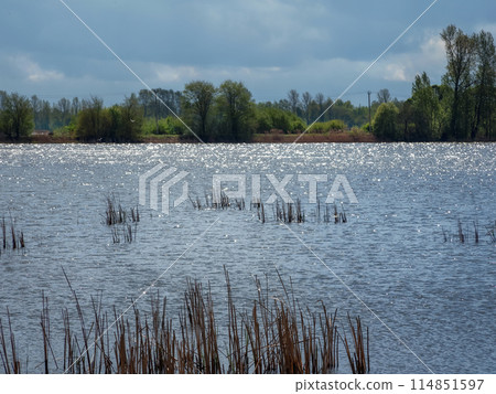 Colorful sunny spring landscape with sparkling water in the lake in the sun. Colorful sunny spring landscape with sparkling water in the lake in the sun. 114851597