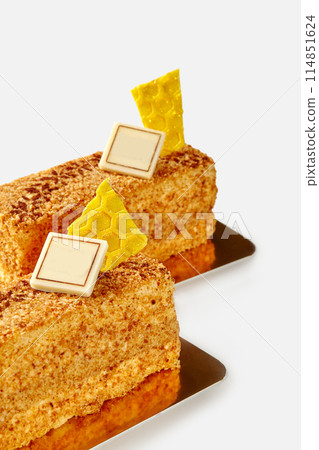 Honey pastry with fine sponge crumbs and chocolate honeycomb 114851624