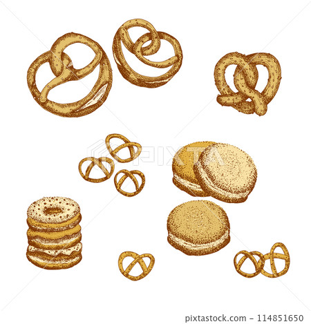 Tasty pretzel, donut. Brezel sketch hand drawn, engraving, ink art. German food. Design for cafe restaurant menu. Octoberfest poster, banner emblem sticker. Vector illustration 114851650