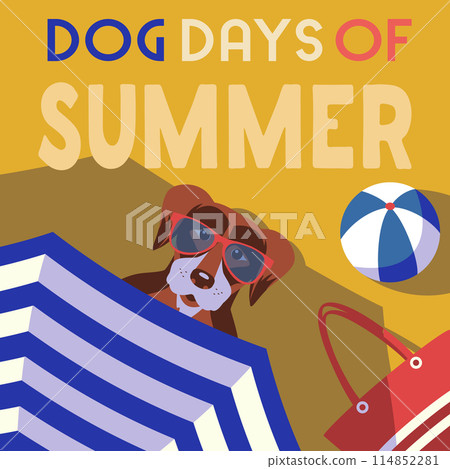 Dog days of summer relax on beach cute poster Dog days of summer relax on beach cute poster 114852281