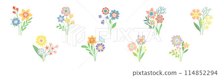 Smiling Flowers on Stalk with Petal and Green Leaf Vector Set 114852294