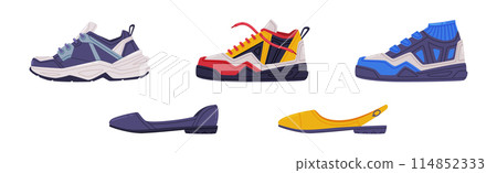 Shoes of Different Type as Casual Footwear Vector Set 114852333