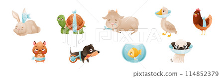 Sick Baby Animal with Bandage Injury Vector Set 114852379