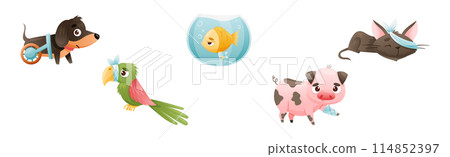 Sick Baby Animal with Bandage Injury Vector Set Sick Baby Animal with Bandage Injury Vector Set 114852397