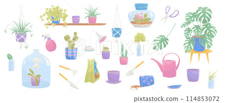 set elements about indoor greenery and home plants with plant pot, plants, watering can, grow lamp 114853072