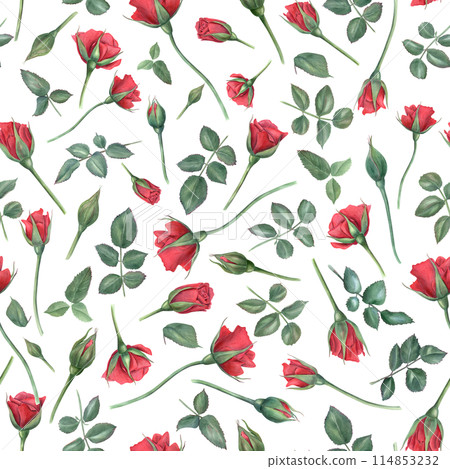 Ruby flowers and green leaves on stems. Red roses. Seamless pattern. Blooming summer garden flower with buds. Watercolor illustration. For wedding, memorial day, mother day design Ruby flowers and green leaves on stems. Red roses. Seamless pattern. Blooming summer garden flower with buds. Watercolor illustration. For wedding, memorial day, mother day design 114853232