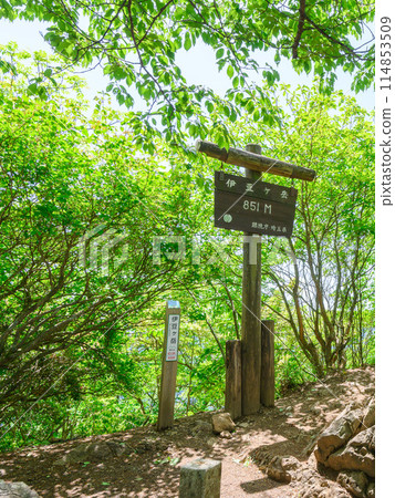 Summit sign at Izugatake in Okumusashi, Saitama 114853509