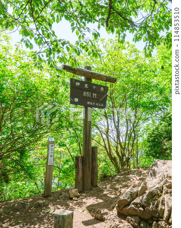埼玉奧武藏/伊豆嶽山頂標誌 埼玉奧武藏/伊豆嶽山頂標誌 114853510