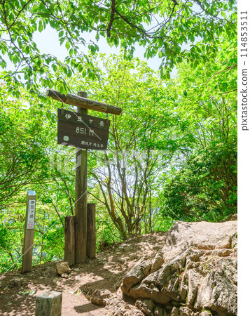 埼玉奧武藏/伊豆嶽山頂標誌 114853511