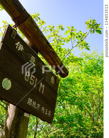 Summit sign at Izugatake in Okumusashi, Saitama Summit sign at Izugatake in Okumusashi, Saitama 114853513
