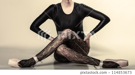 Graceful woman ballet dancer Graceful woman ballet dancer 114853673