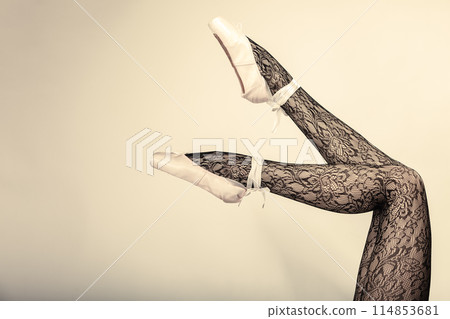 Female legs dancer in ballet shoes 114853681