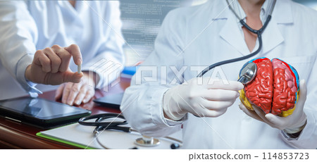 Concept of diagnosis and treatment of brain disorders. 114853723