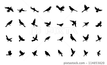 Silhouettes of birds doodle set. Black collection design animal cartoon for nature. Element graphic drawing sketch and isolated white background. Abstract decoration symbol 114853820
