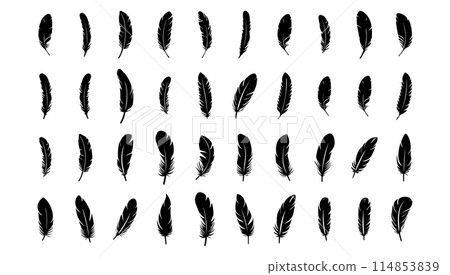 Set of Bird Feather black and white vector illustration. Animal fluffy silhouette wing and isolated white. Collection decoration art icon 114853839