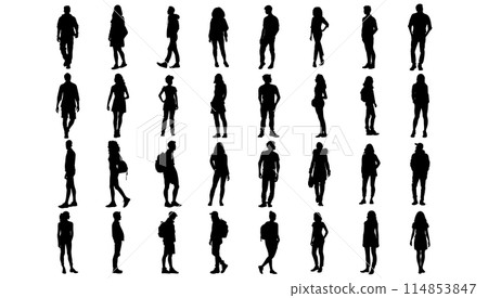 Silhouette people set on white background vector illustration. Collection group adult figure and business shape flat portrait character 114853847