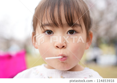 A girl enjoying cherry blossom viewing, celebrating the arrival of spring 114853918