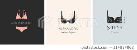 Elegant, luxury lingerie and underwear logos collection. Hand drawn minimalist illustrations, boho 114854068