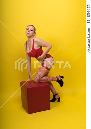 Studio portrait gorgeous young woman in lingerie, blonde beauty in professional makeup. Studio portrait gorgeous young woman in lingerie, blonde beauty in professional makeup. 114854475