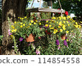 A life where beautiful and cute flowers welcome you every day 114854558