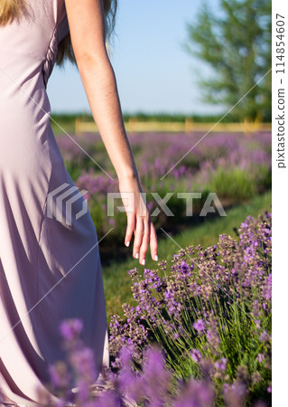 Hand of woman walking in blooming lavender field in lavender color dress 114854607