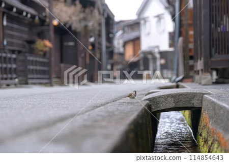 240406 Sanmachi g029 240406 Sanmachi g029 114854643