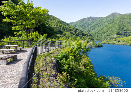 群馬縣中之條町奧島湖展望台 114855600
