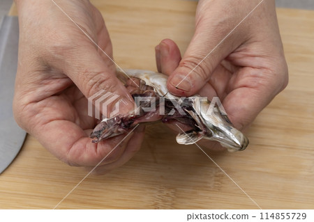 紅竹莢魚、小竹莢魚、媽媽竹莢魚、抓內臟 紅竹莢魚、小竹莢魚、媽媽竹莢魚、抓內臟 114855729
