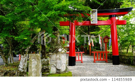 Koriyama Hachiman Shrine, Important Cultural Property, Shochu Character Graffiti, Isa City, Kagoshima Prefecture Koriyama Hachiman Shrine, Important Cultural Property, Shochu Character Graffiti, Isa City, Kagoshima Prefecture 114855989