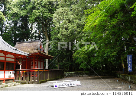 郡山八幡神社 重要文化遺產 燒酒人物塗鴉 鹿兒島縣伊佐市 114856011