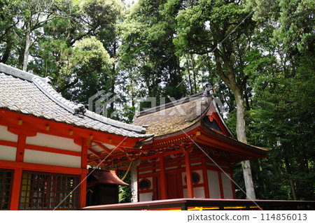 郡山八幡神社 重要文化遺產 燒酒人物塗鴉 鹿兒島縣伊佐市 114856013