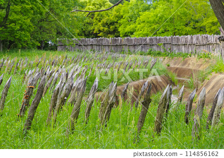 The ruins of Yoshinogari ruins in Saga Prefecture The ruins of Yoshinogari ruins in Saga Prefecture 114856162