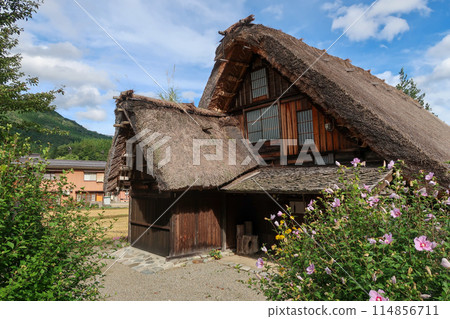 World Heritage Site: Shirakawa-go Gassho-style Village World Heritage Site: Shirakawa-go Gassho-style Village 114856711