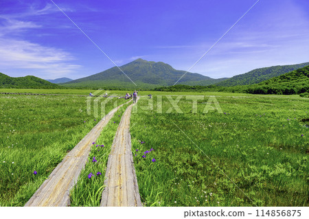 一名徒步旅行者沿著通往富士山的木板路行走。 114856875
