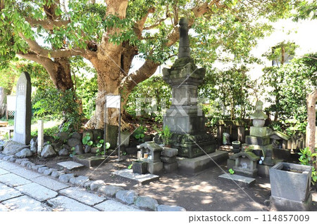 The remains of Shigeyasu Hatakeyama's residence and a stone pagoda (Yuigahama 2-chome, Kamakura City, Kanagawa Prefecture) The remains of Shigeyasu Hatakeyama's residence and a stone pagoda (Yuigahama 2-chome, Kamakura City, Kanagawa Prefecture) 114857009